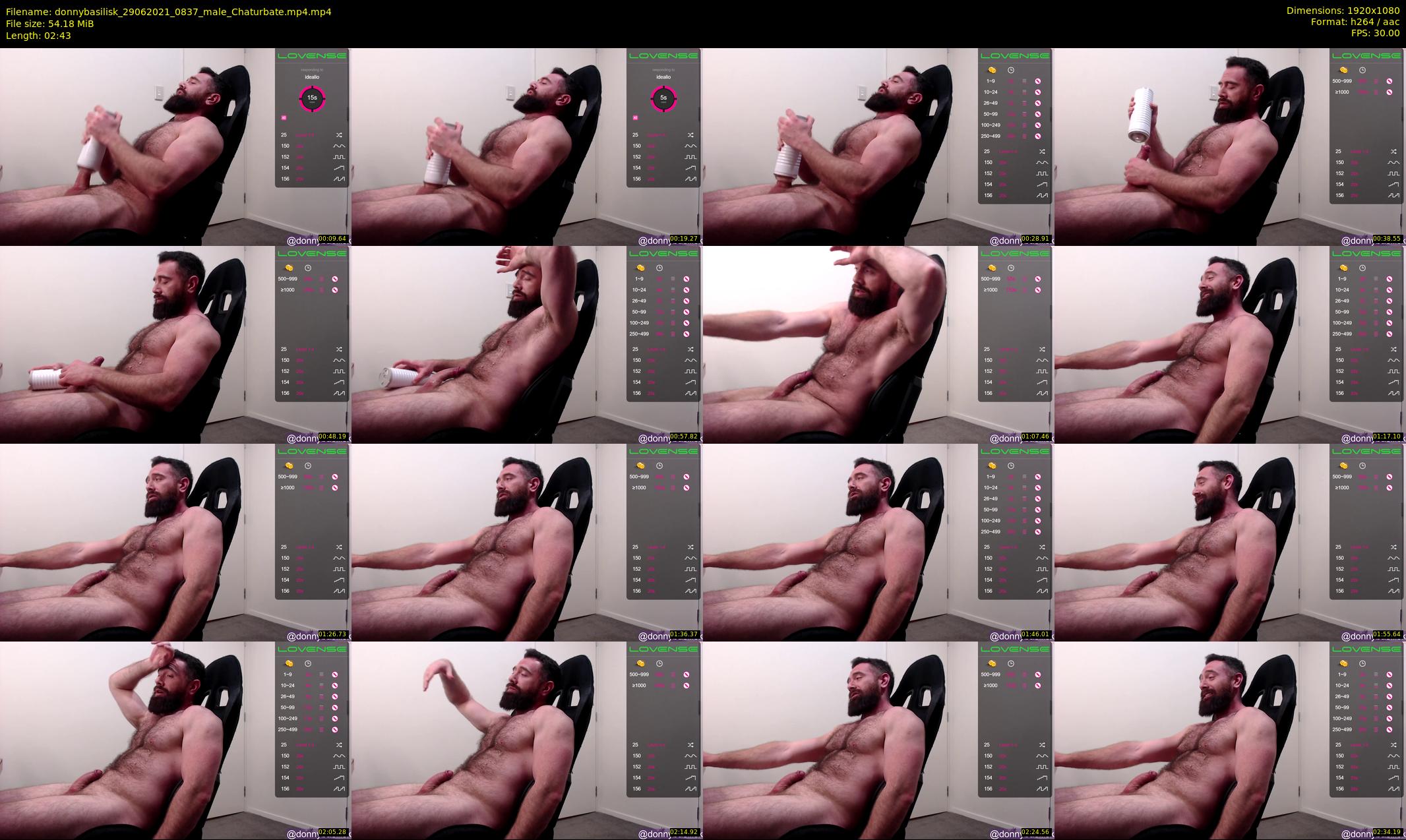 donnybasilisk — 3 minute Chaturbate male cam show recording, 1080p, Jun 29, 2021