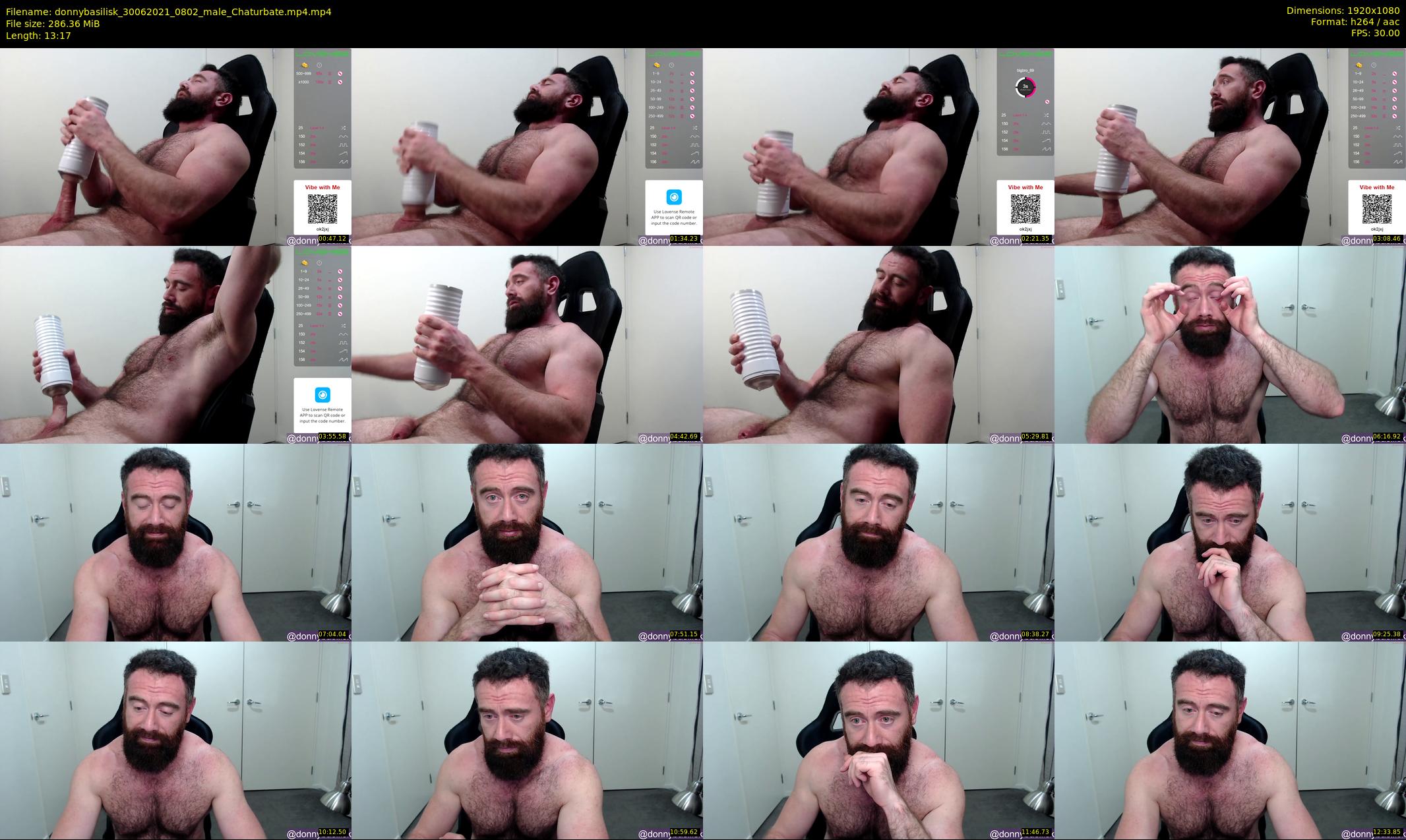 donnybasilisk — 14 minute Chaturbate male cam show recording, 1080p, Jun 30, 2021