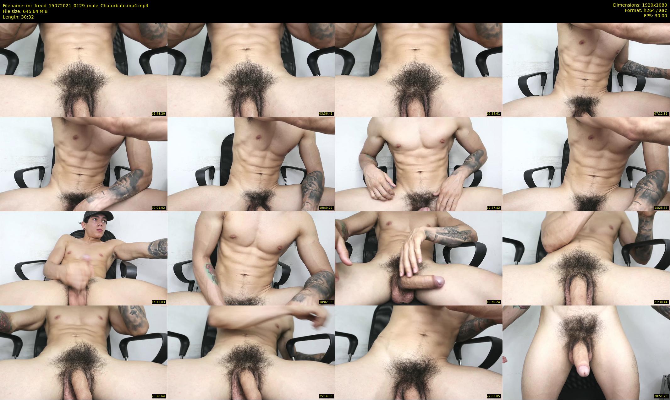 mr_freed — 31 minute Chaturbate male cam show recording, 1080p, Jul 15, 2021
