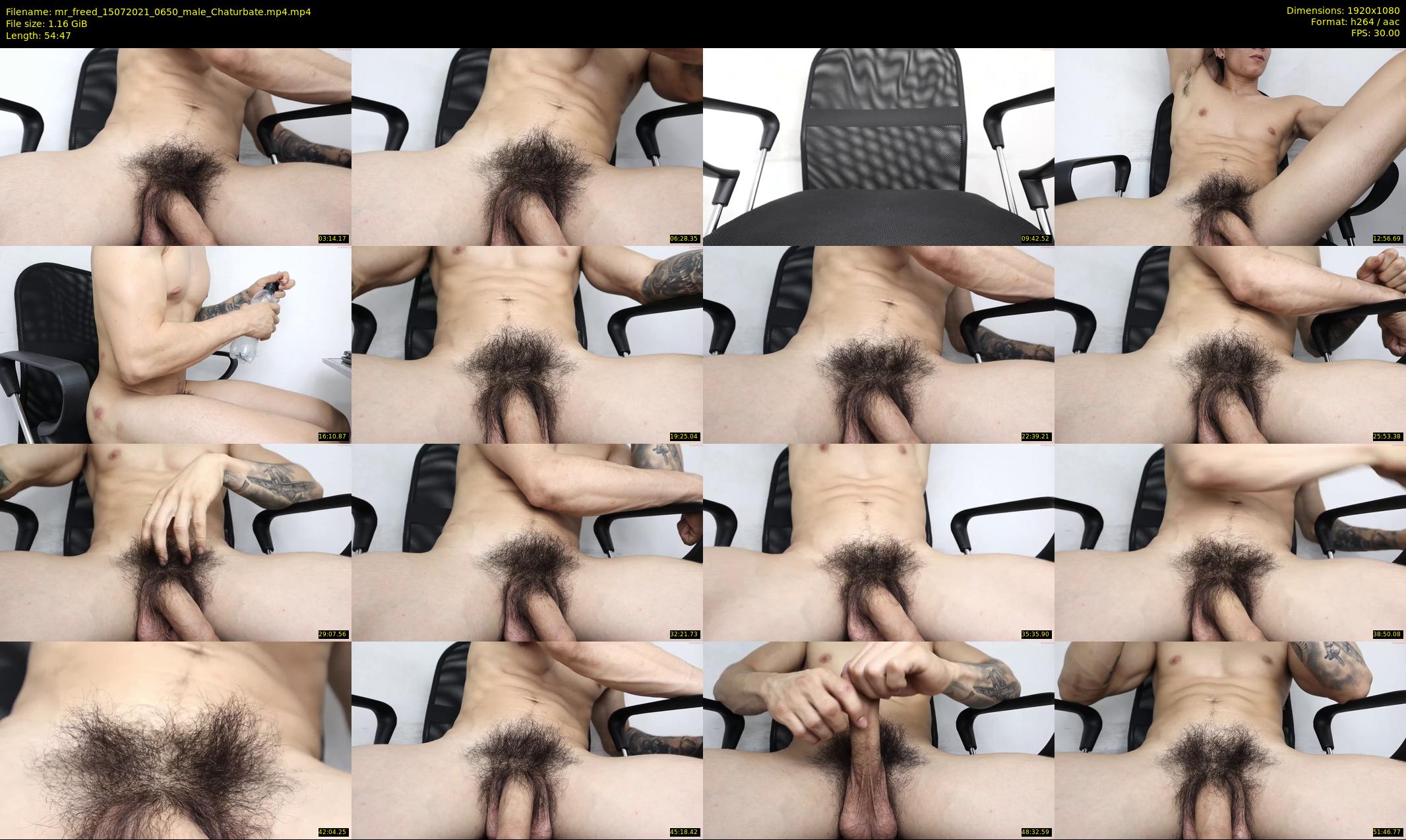 mr_freed — 55 minute Chaturbate male cam show recording, 1080p, Jul 15, 2021