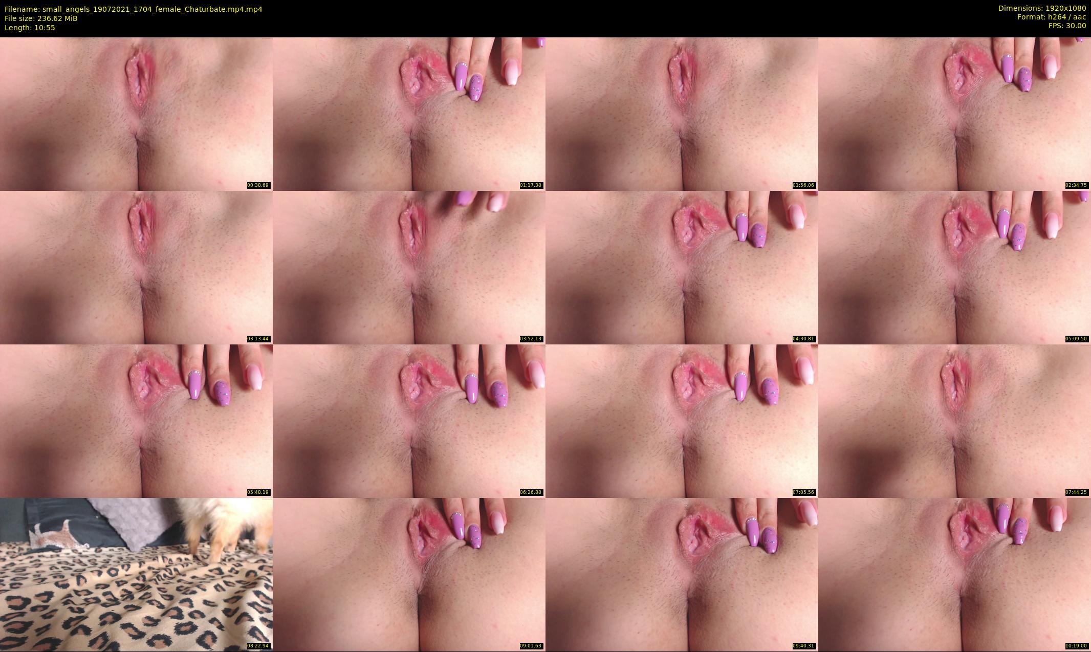 small_angels — 11 minute Chaturbate female cam show recording, 1080p, Jul 19, 2021