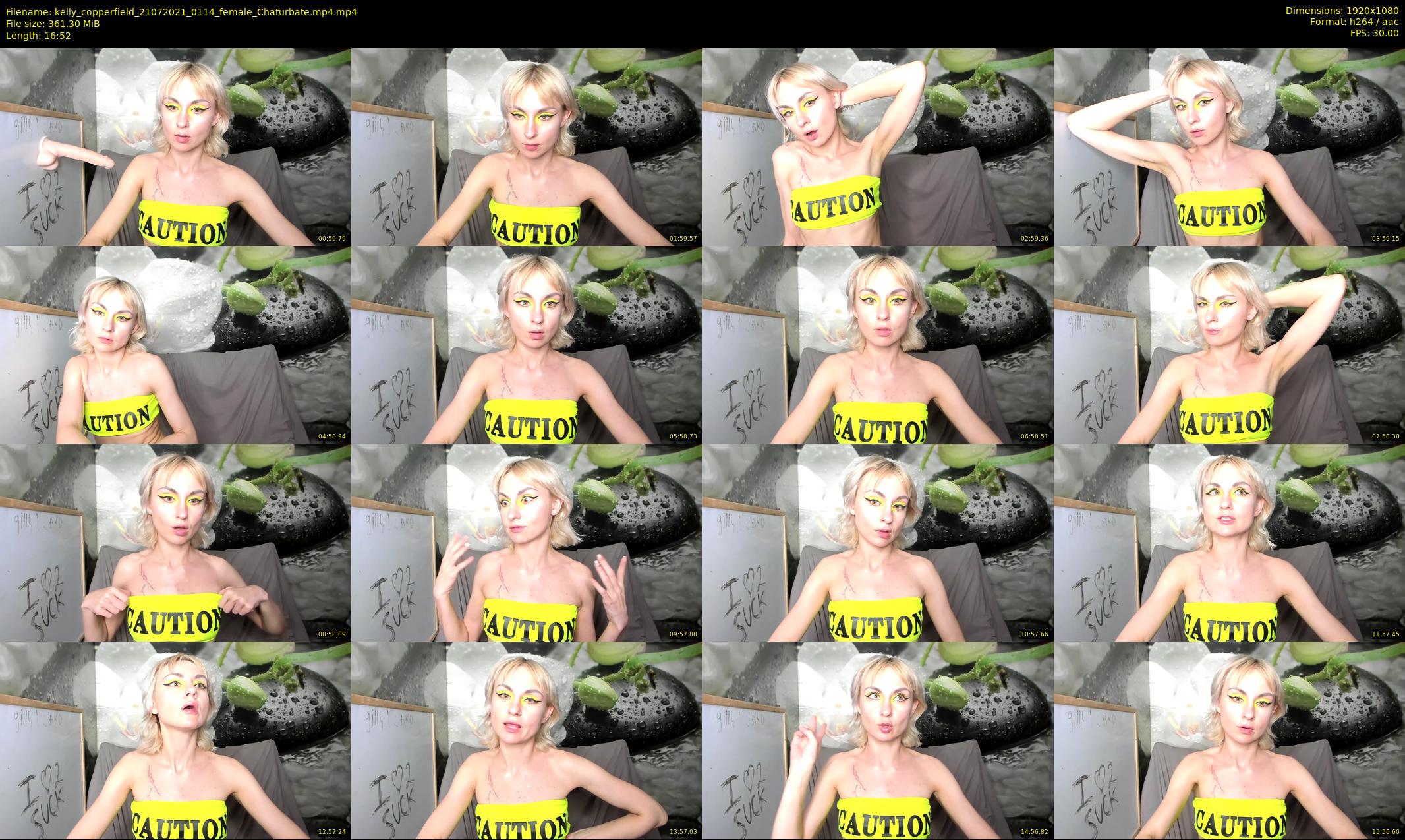 kelly_copperfield — 17 minute Chaturbate female cam show recording, 1080p, Jul 21, 2021