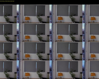 donnna19 — 19 minute Chaturbate female cam show recording, 1080p, Jul 23, 2021