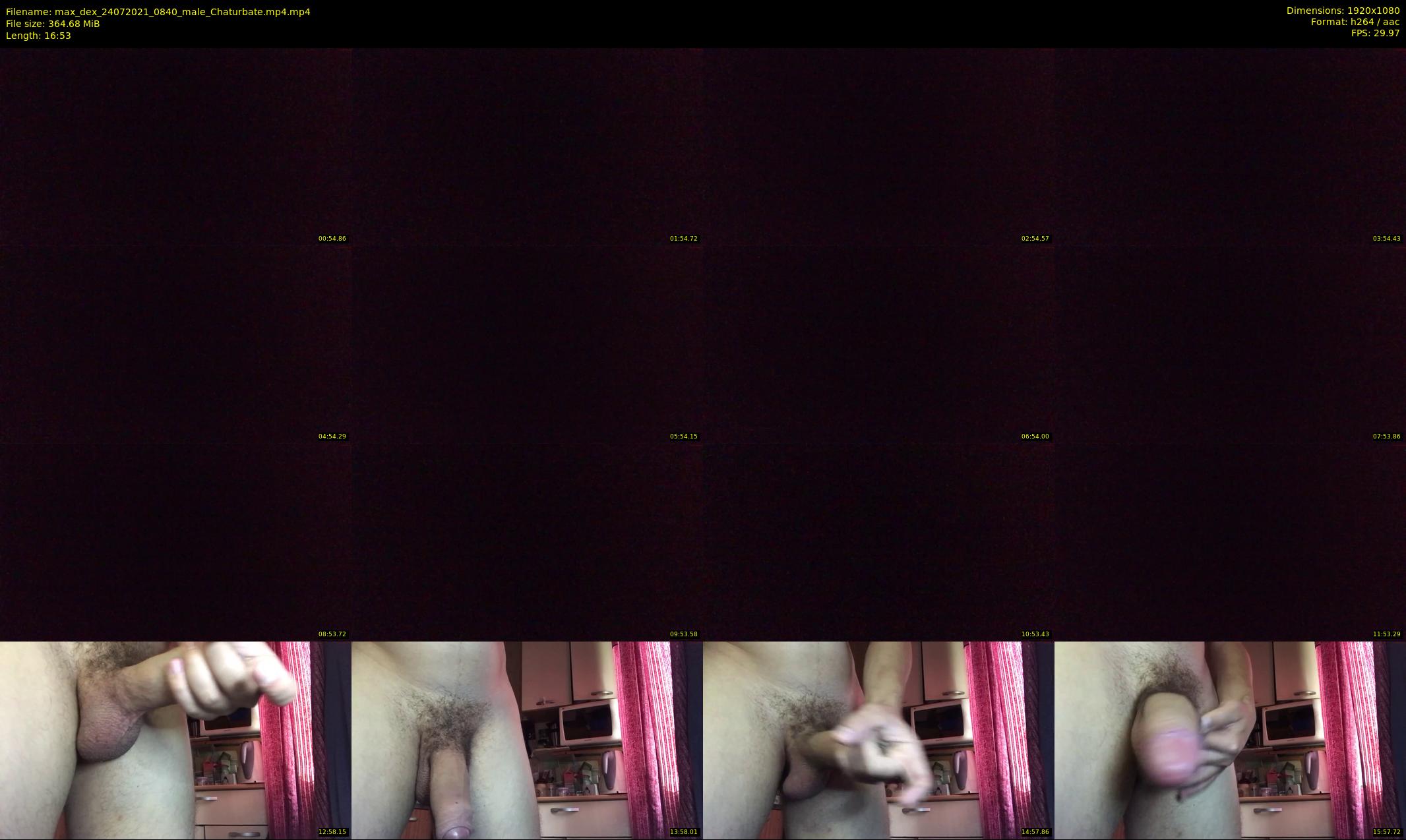 max_dex — 17 minute Chaturbate male cam show recording, 1080p, Jul 24, 2021