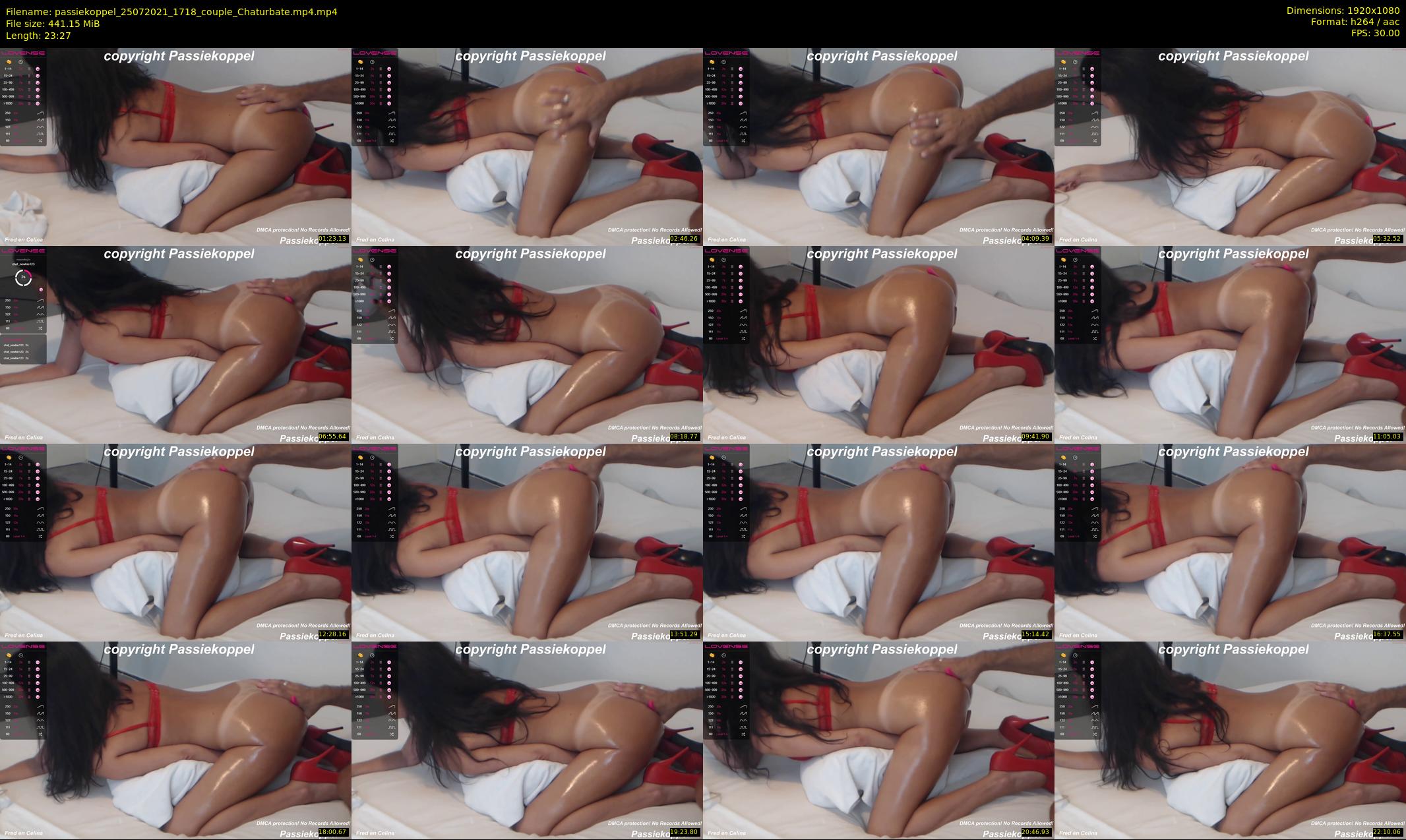 passiekoppel — 24 minute Chaturbate couple cam show recording, 1080p, Jul 25, 2021