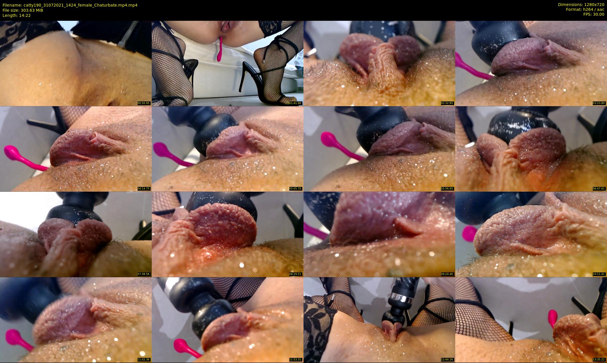 catty190 — 15 minute Chaturbate female cam show recording, 720p, Jul 31, 2021