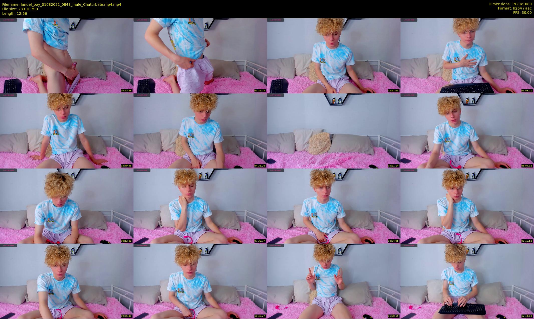 landel_boy — 13 minute Chaturbate male cam show recording, 1080p, Aug 1, 2021