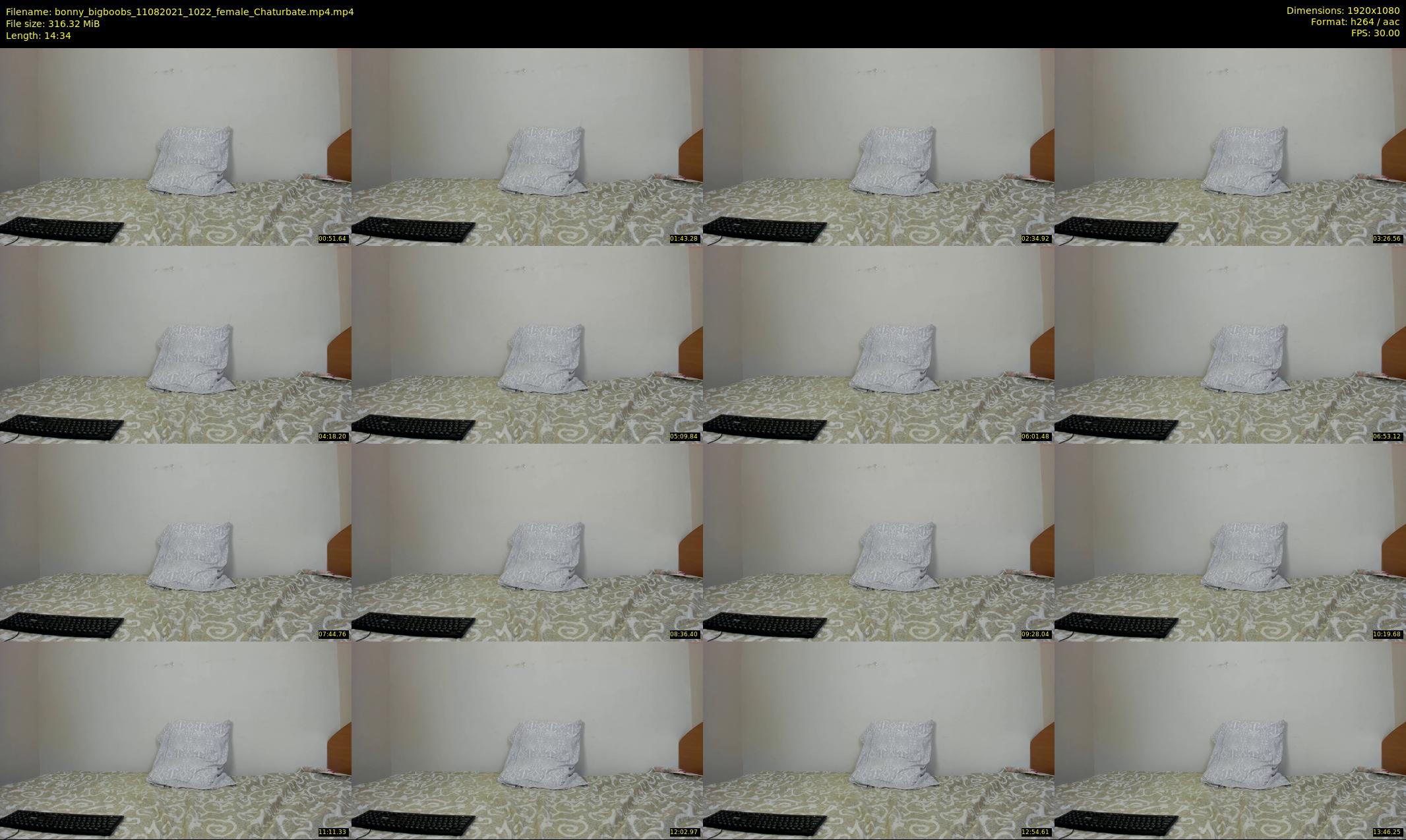bonny_bigboobs — 15 minute Chaturbate female cam show recording, 1080p, Aug 11, 2021