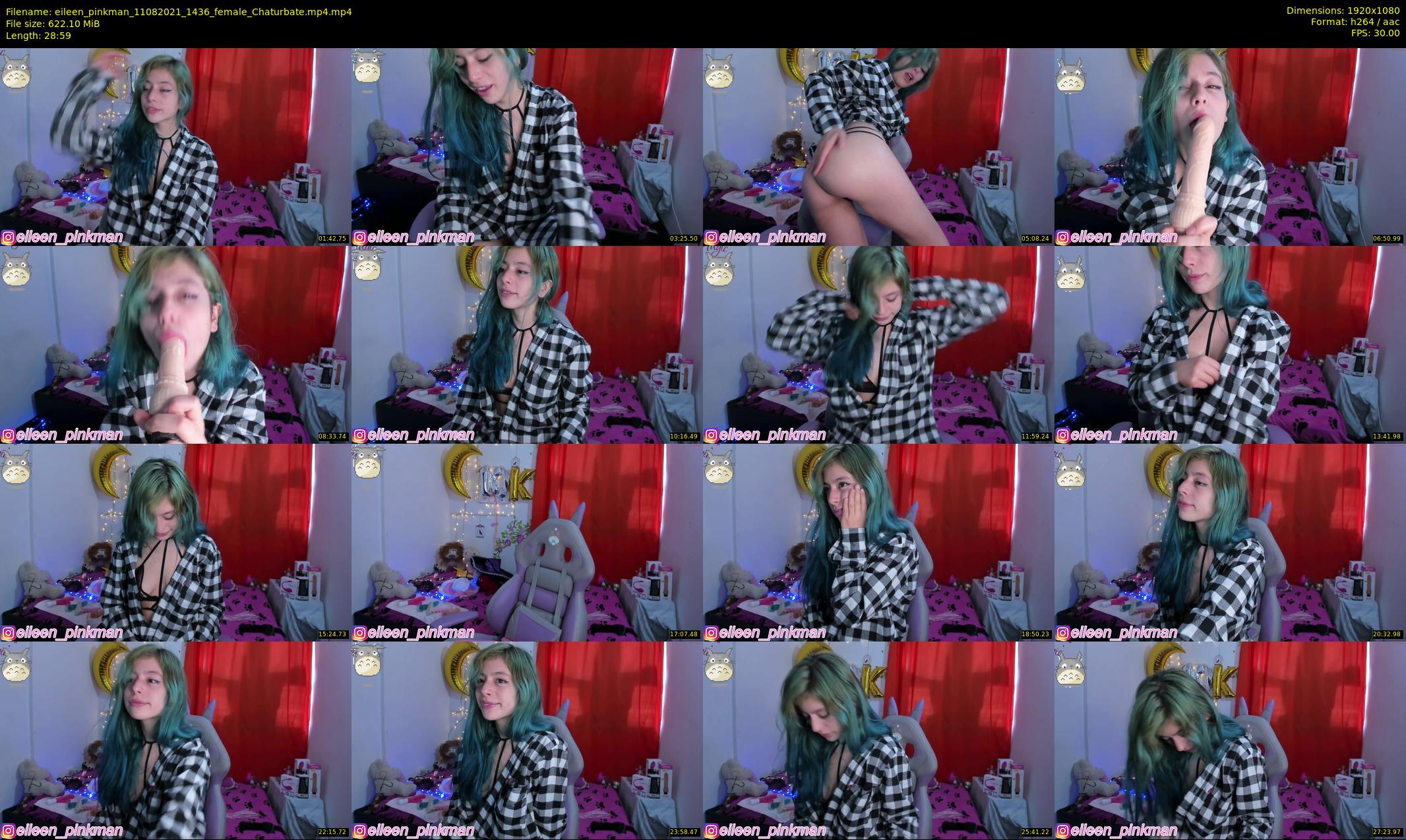 eileen_pinkman — 29 minute Chaturbate female cam show recording, 1080p, Aug 11, 2021