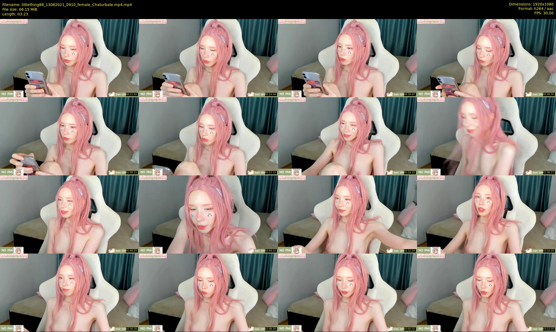 littlething88 — 4 minute Chaturbate female cam show recording, 1080p, Aug 13, 2021