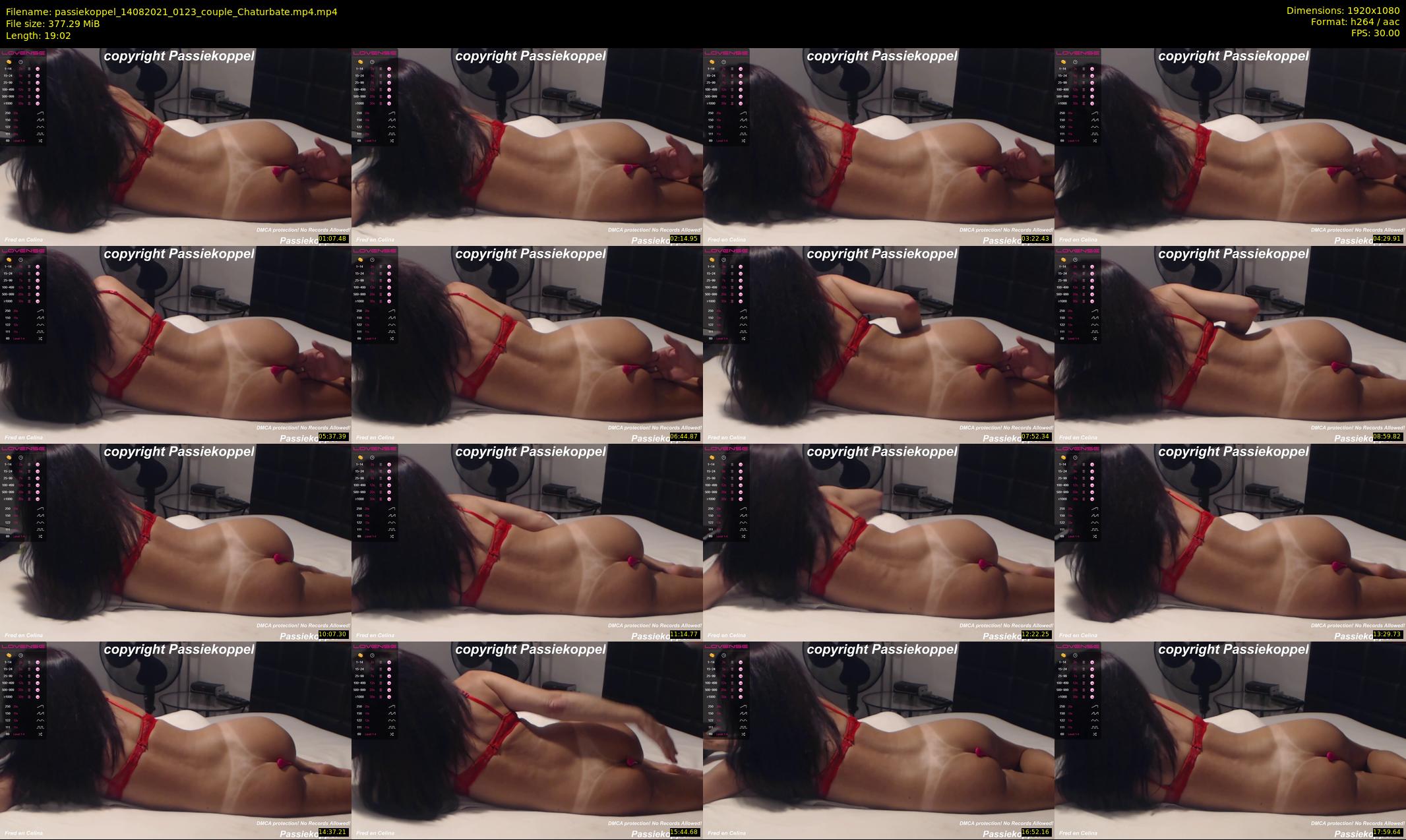 passiekoppel — 20 minute Chaturbate couple cam show recording, 1080p, Aug 14, 2021