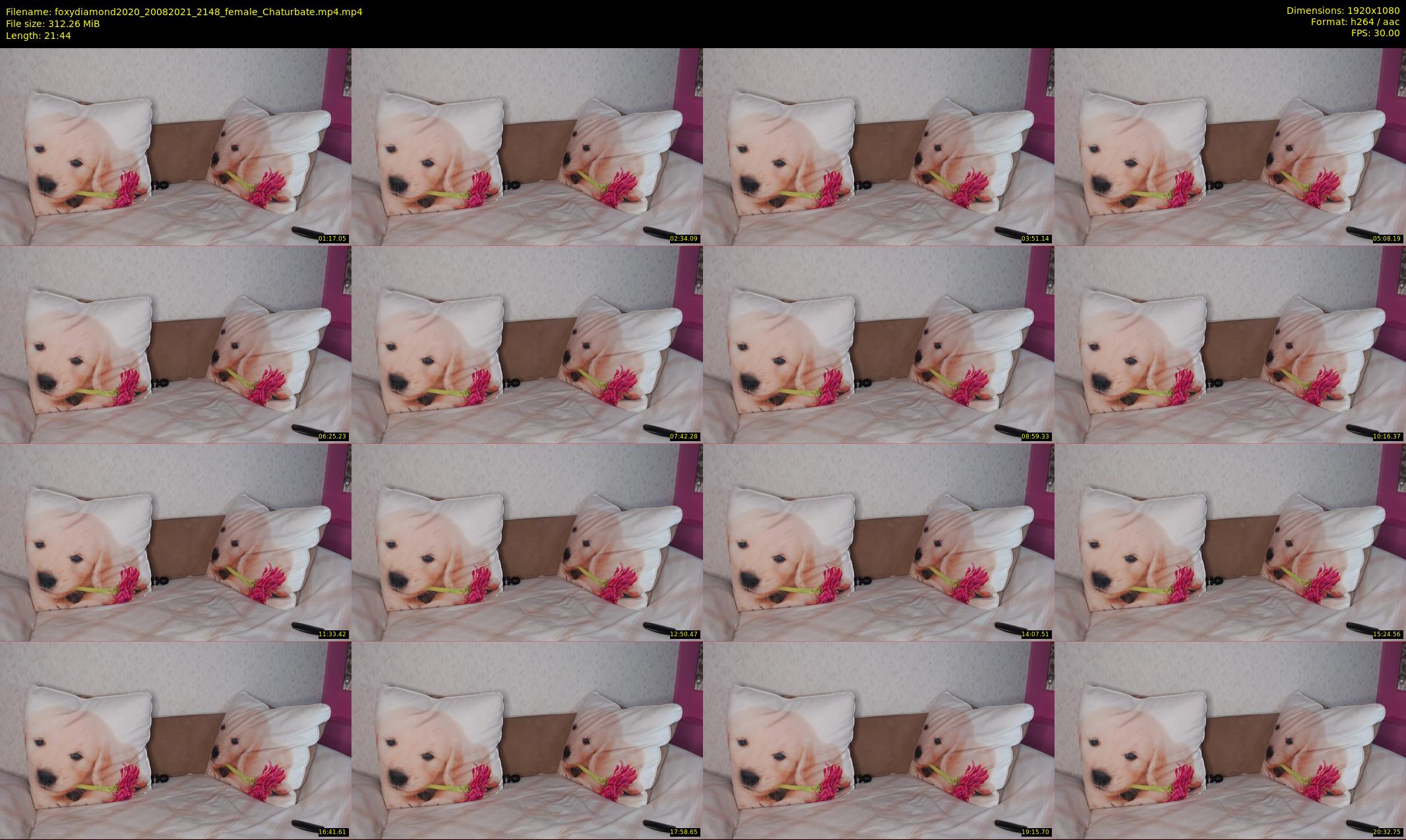 foxydiamond2020 — 22 minute Chaturbate female cam show recording, 1080p, Aug 20, 2021