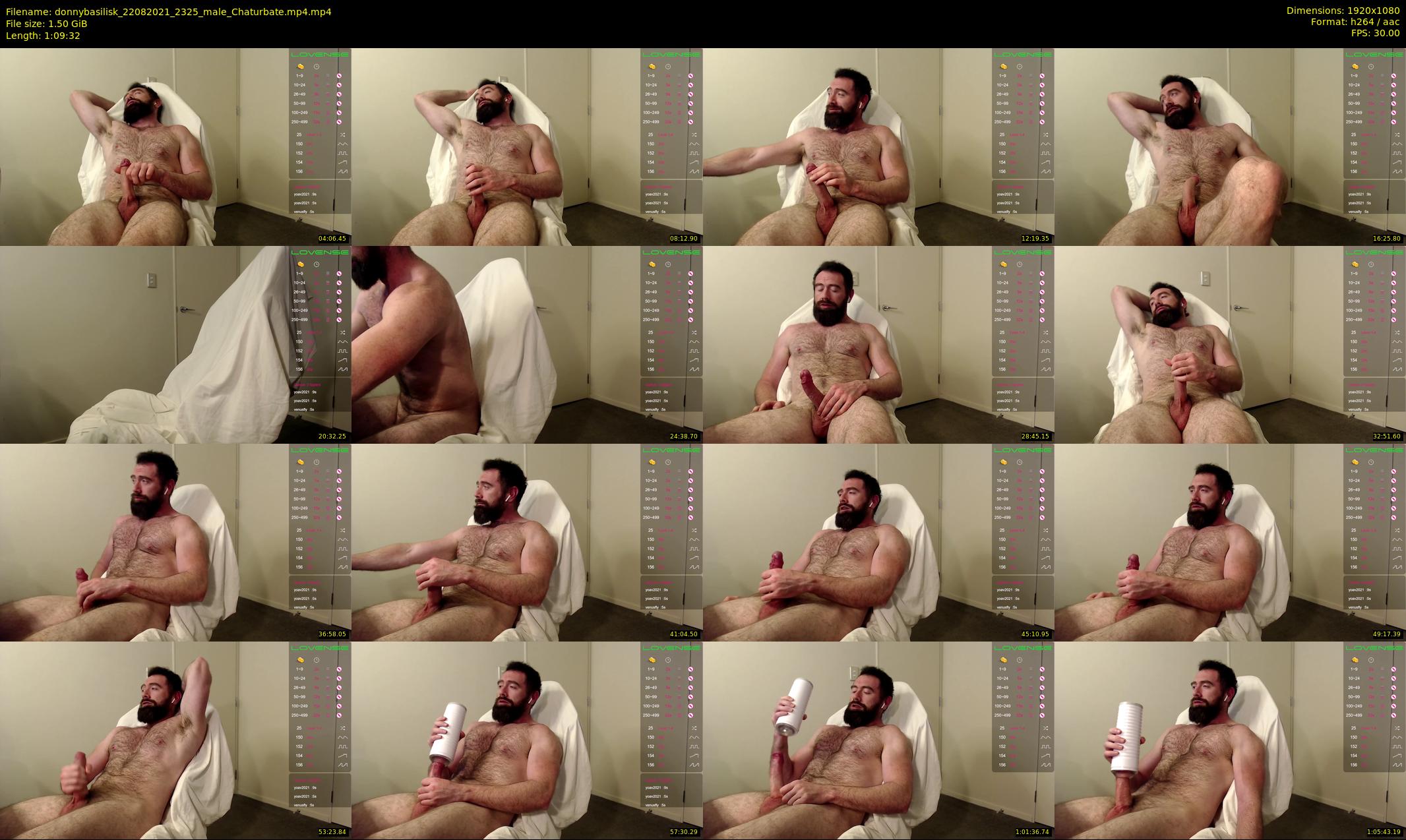 donnybasilisk — 70 minute Chaturbate male cam show recording, 1080p, Aug 22, 2021