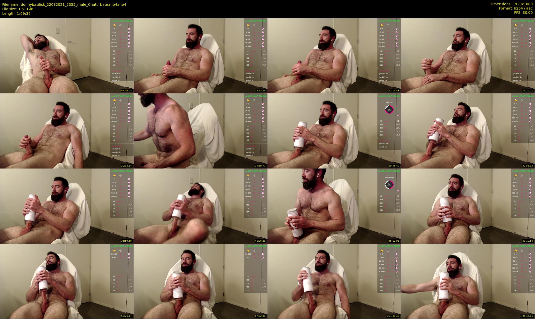 donnybasilisk — 70 minute Chaturbate male cam show recording, 1080p, Aug 22, 2021