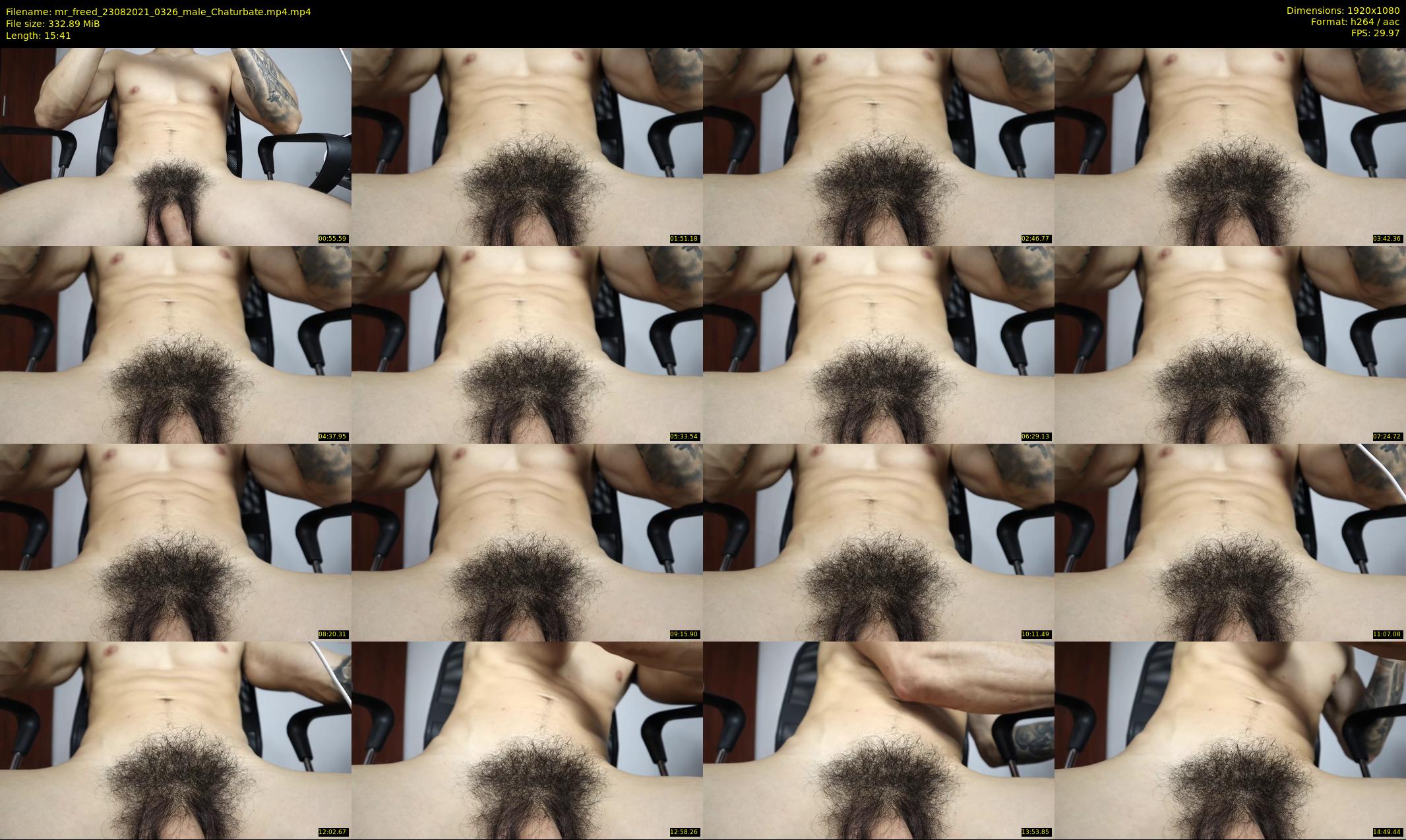 mr_freed — 16 minute Chaturbate male cam show recording, 1080p, Aug 23, 2021