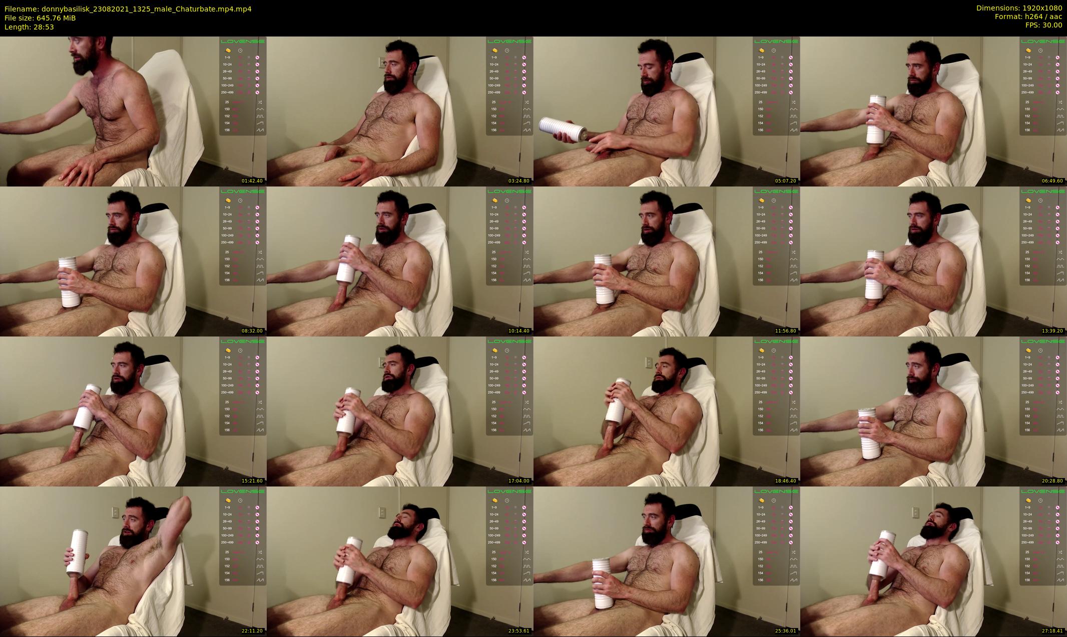 donnybasilisk — 29 minute Chaturbate male cam show recording, 1080p, Aug 23, 2021