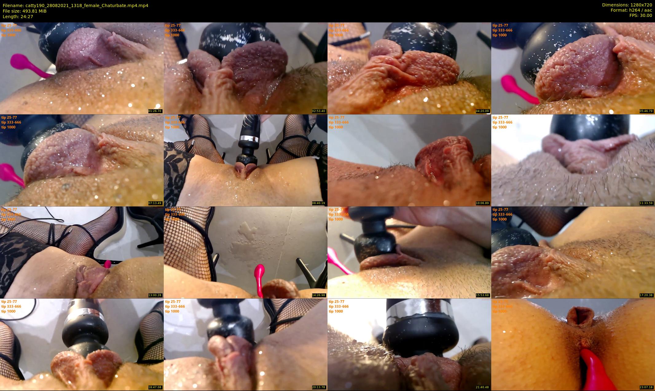 catty190 — 25 minute Chaturbate female cam show recording, 720p, Aug 28, 2021