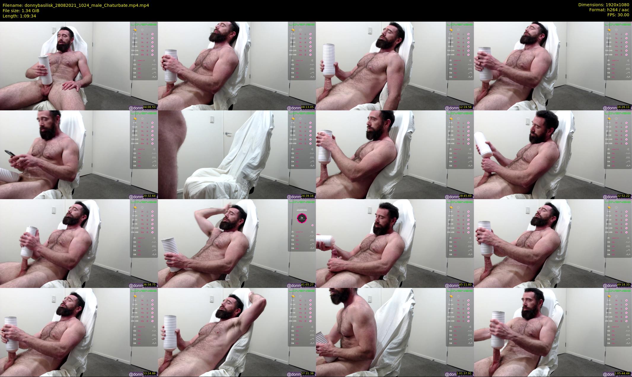 donnybasilisk — 70 minute Chaturbate male cam show recording, 1080p, Aug 28, 2021