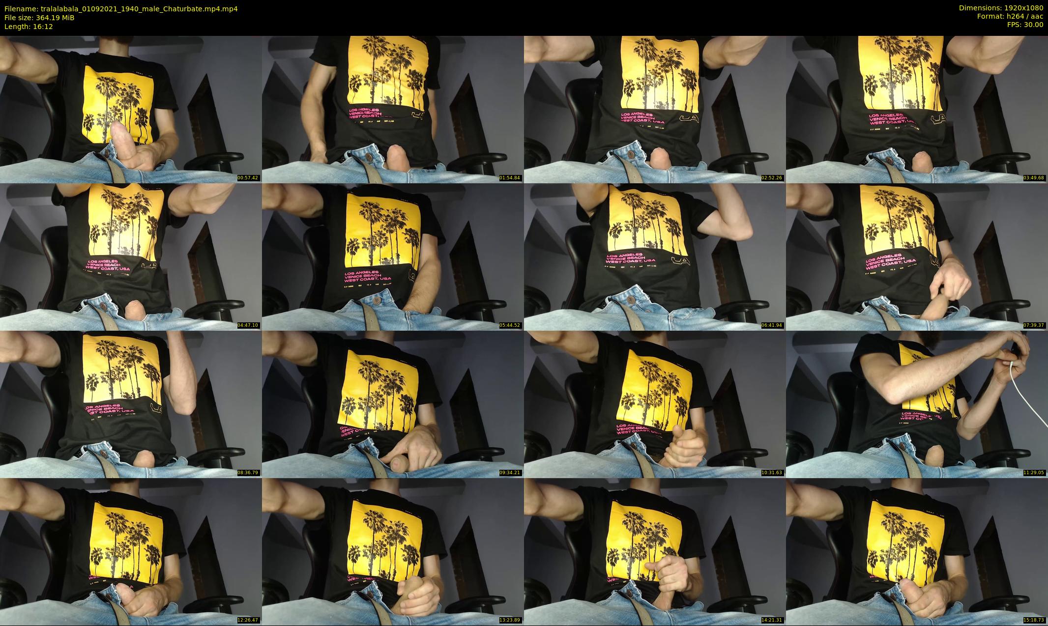 tralalabala — 17 minute Chaturbate male cam show recording, 1080p, Sep 1, 2021