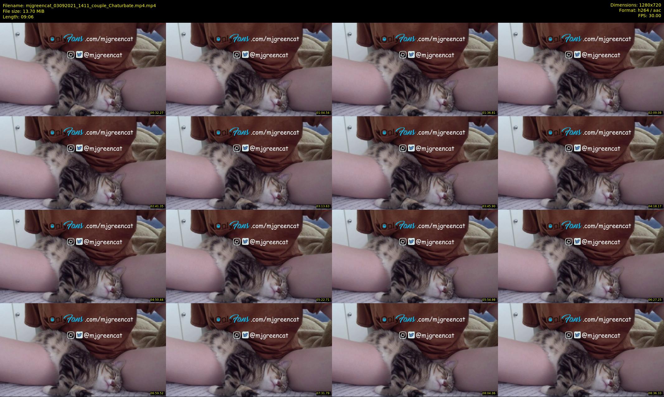 mjgreencat — 10 minute Chaturbate female cam show recording, 720p, Sep 3, 2021