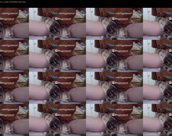 mjgreencat — 10 minute Chaturbate female cam show recording, 720p, Sep 3, 2021