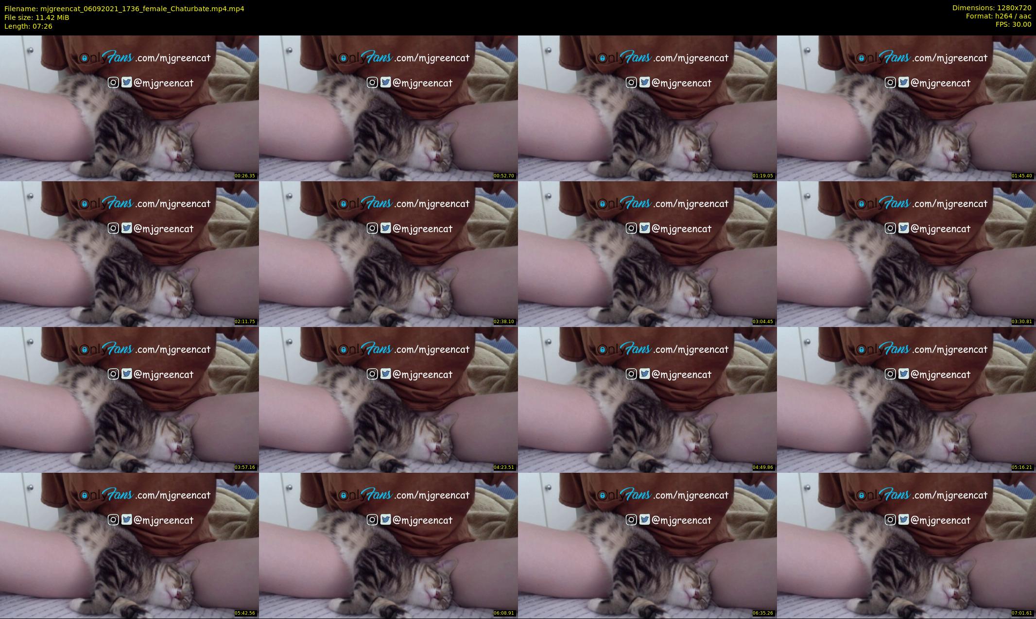 mjgreencat — 8 minute Chaturbate female cam show recording, 720p, Sep 6, 2021