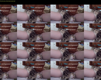 mjgreencat — 8 minute Chaturbate female cam show recording, 720p, Sep 6, 2021