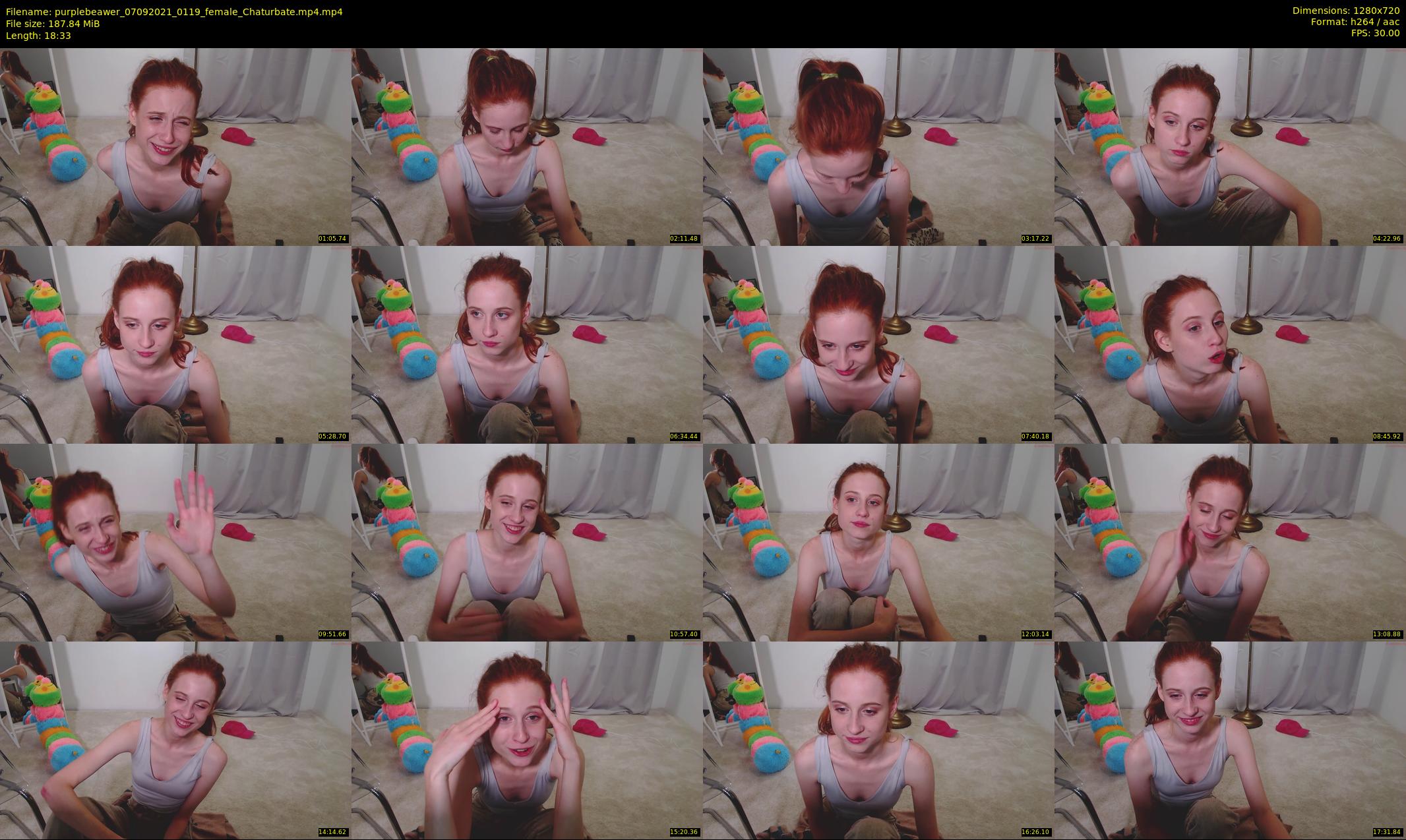 purplebeawer — 19 minute Chaturbate female cam show recording, 720p, Sep 7, 2021