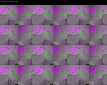 princessasiana — 15 minute Chaturbate female cam show recording, 1080p, Sep 8, 2021