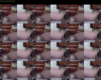 mjgreencat — 5 minute Chaturbate female cam show recording, 720p, Sep 9, 2021
