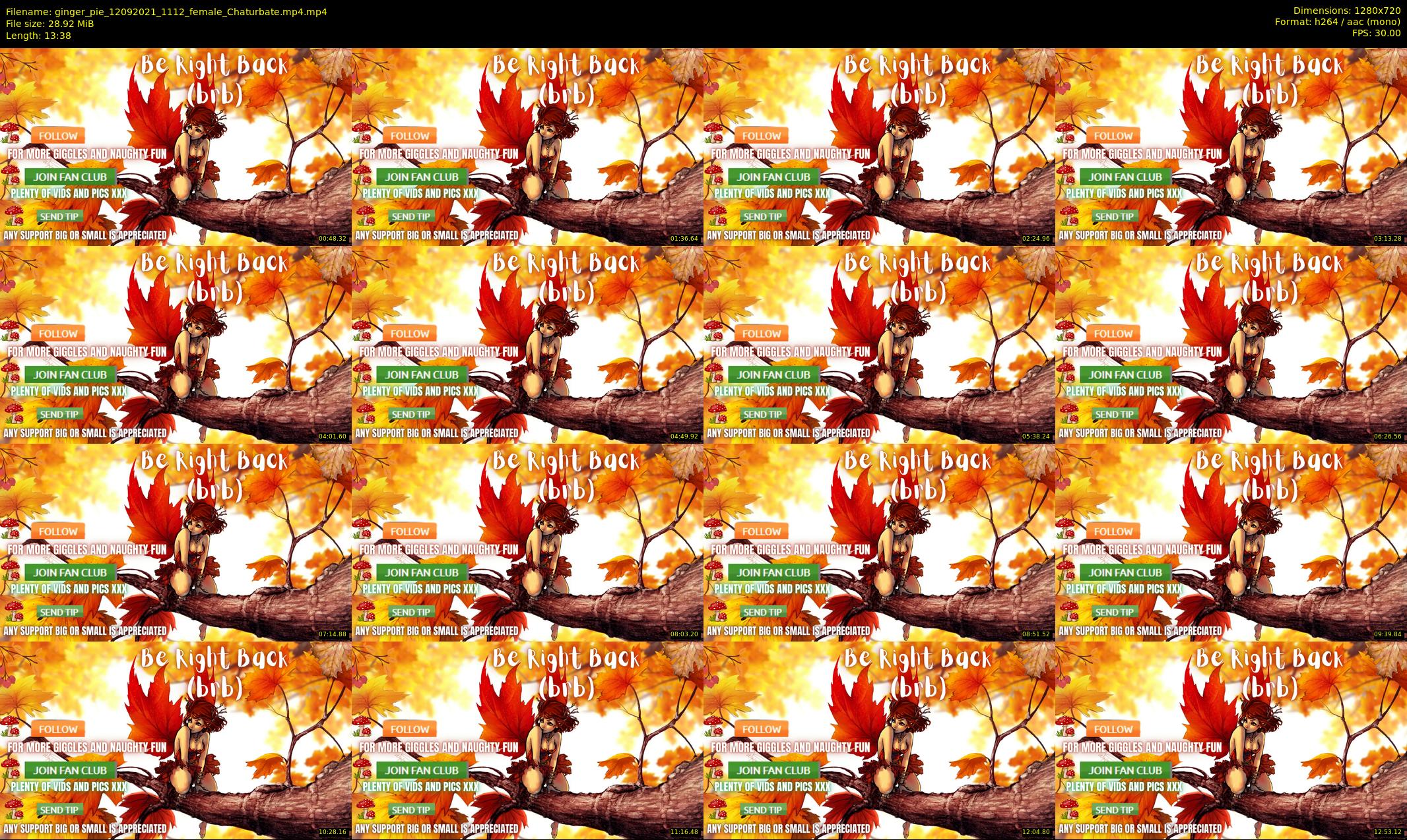 ginger_pie — 14 minute Chaturbate female cam show recording, 720p, Sep 12, 2021