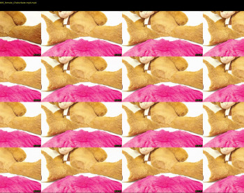 janeebony_ — 11 minute Chaturbate female cam show recording, 1080p, Sep 12, 2021