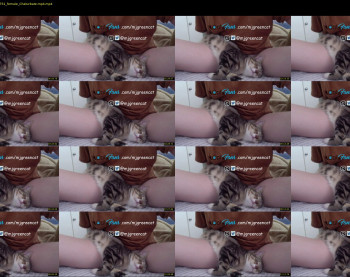 mjgreencat — 13 minute Chaturbate female cam show recording, 720p, Sep 13, 2021