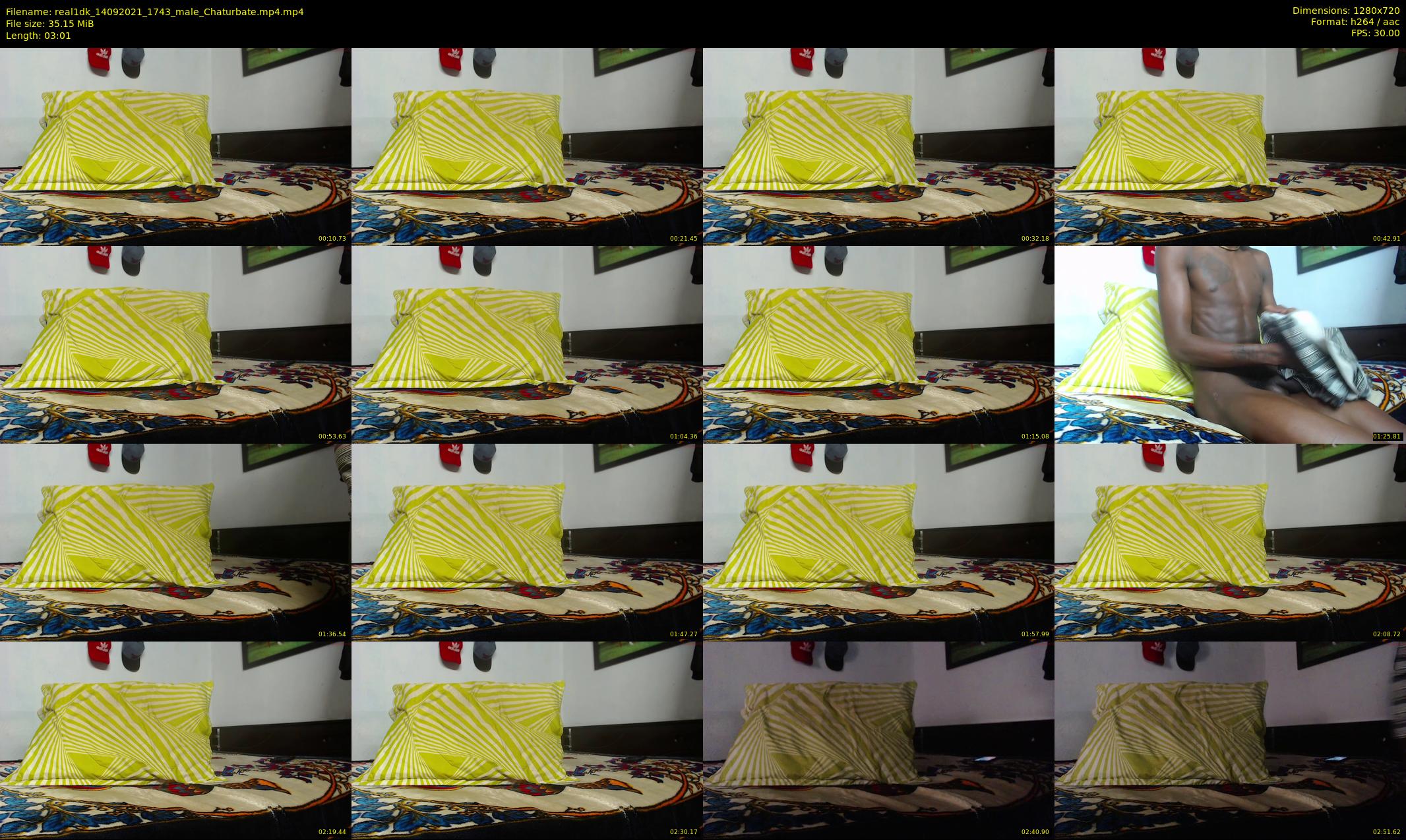 real1dk — 4 minute Chaturbate male cam show recording, 720p, Sep 14, 2021