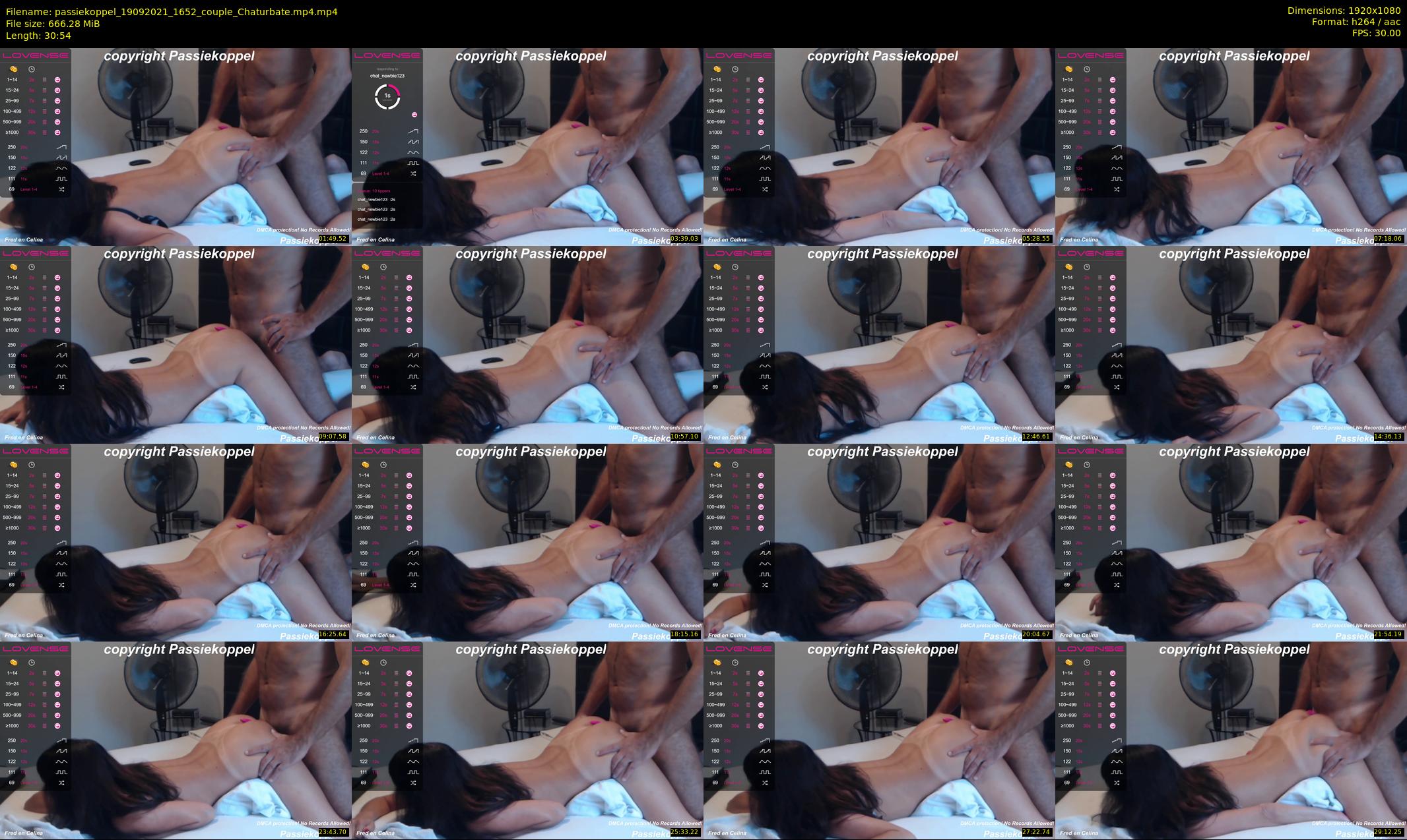 passiekoppel — 31 minute Chaturbate couple cam show recording, 1080p, Sep 19, 2021