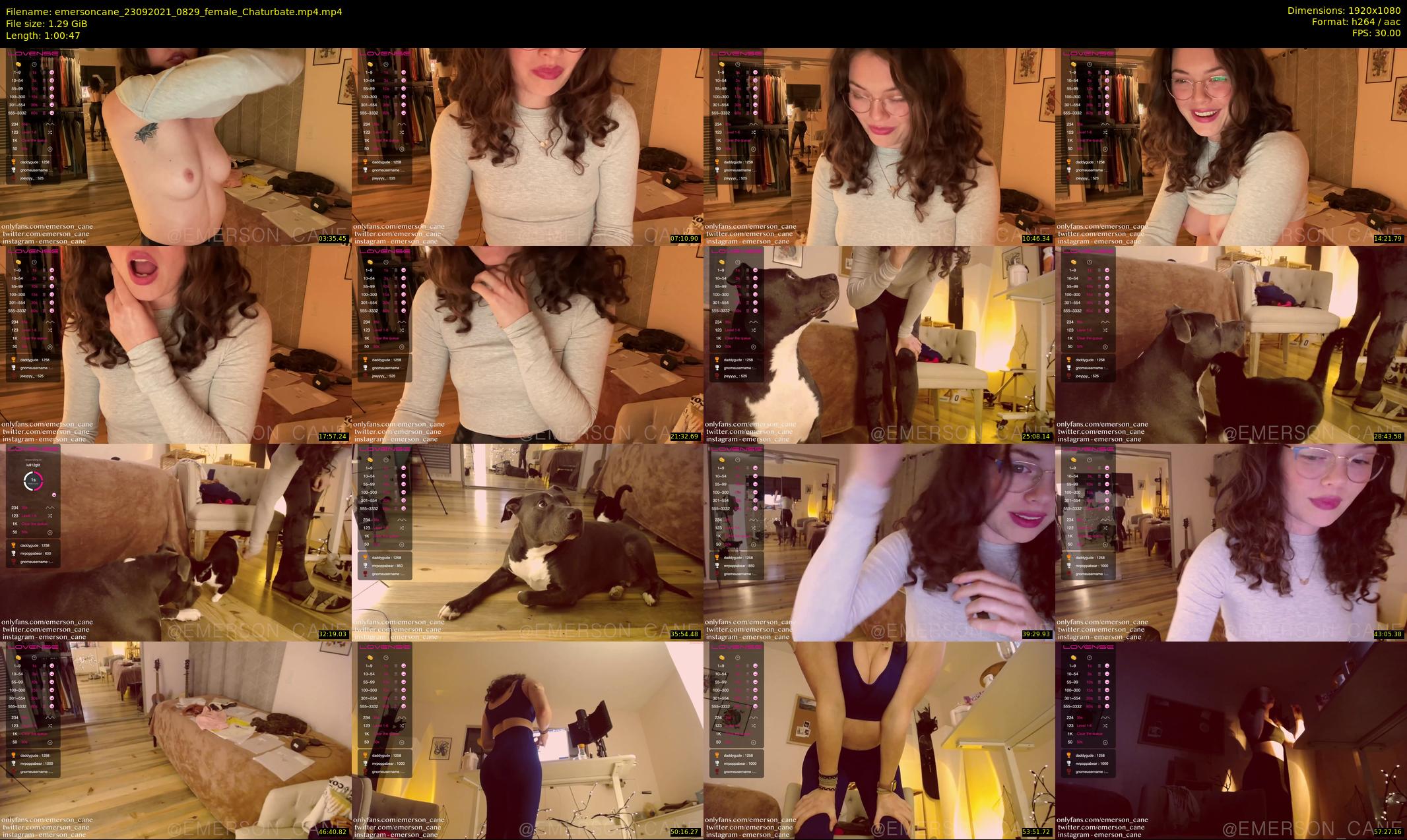 emersoncane — 61 minute Chaturbate female cam show recording, 1080p, Sep 23, 2021
