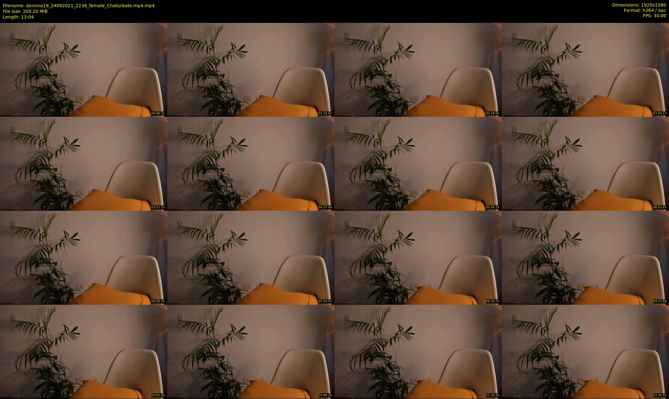 donnna19 — 14 minute Chaturbate female cam show recording, 1080p, Sep 24, 2021
