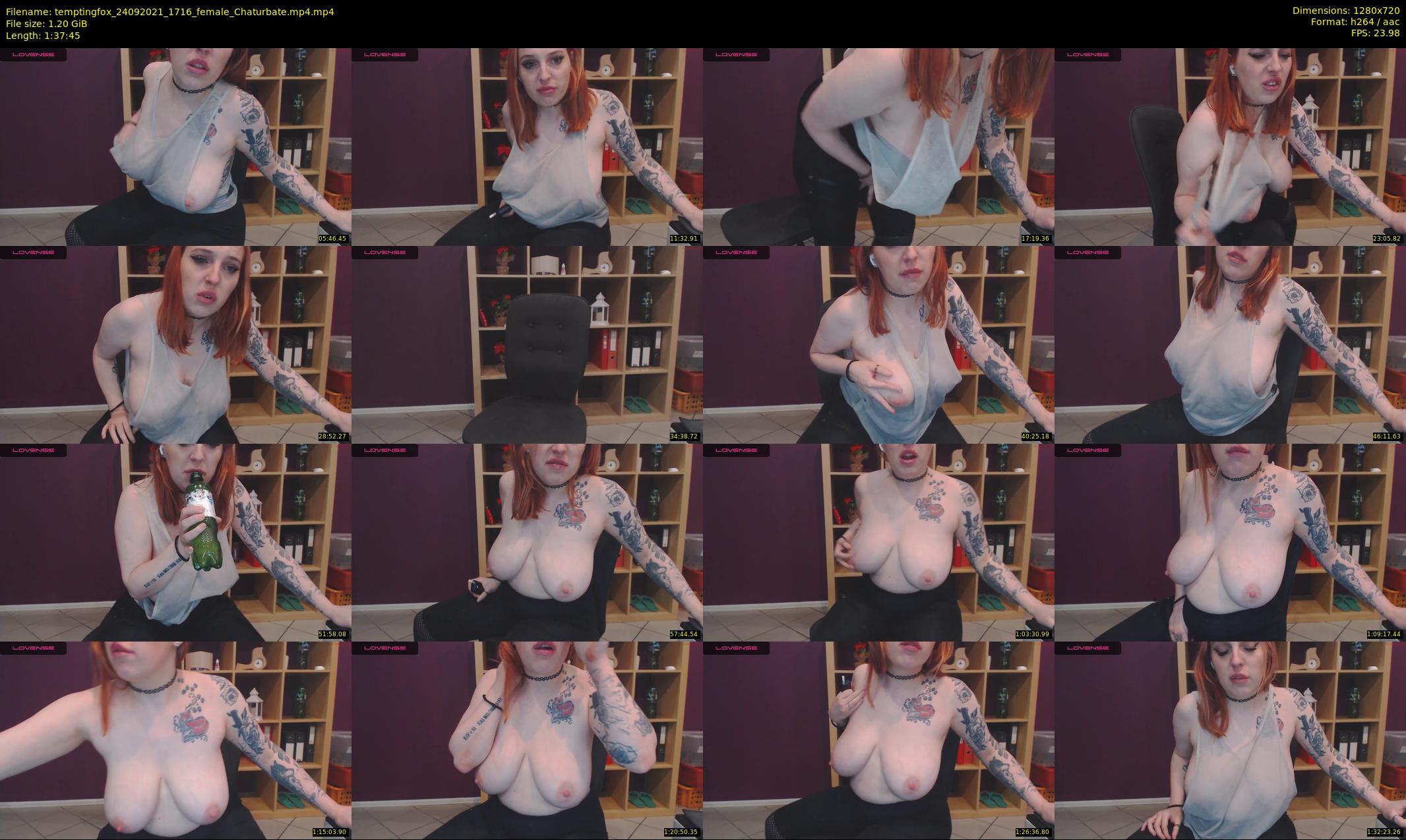 temptingfox — 98 minute Chaturbate female cam show recording, 720p, Sep 24, 2021