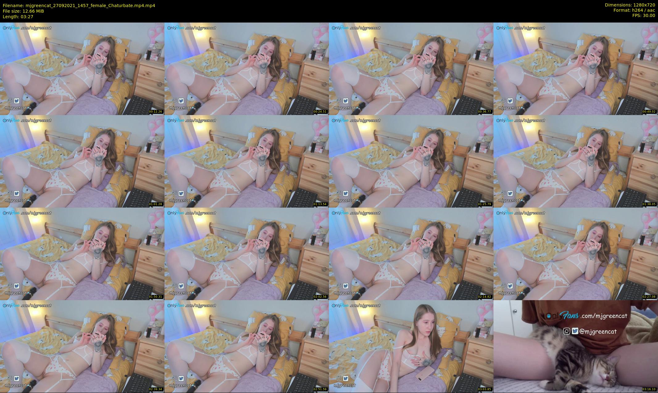 mjgreencat — 4 minute Chaturbate female cam show recording, 720p, Sep 27, 2021