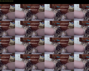 mjgreencat — 3 minute Chaturbate female cam show recording, 720p, Oct 1, 2021