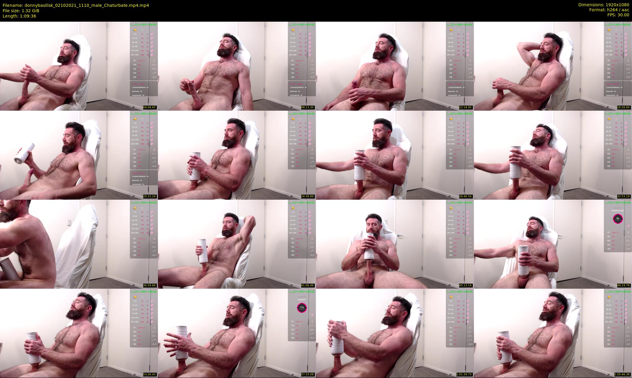 donnybasilisk — 70 minute Chaturbate male cam show recording, 1080p, Oct 2, 2021
