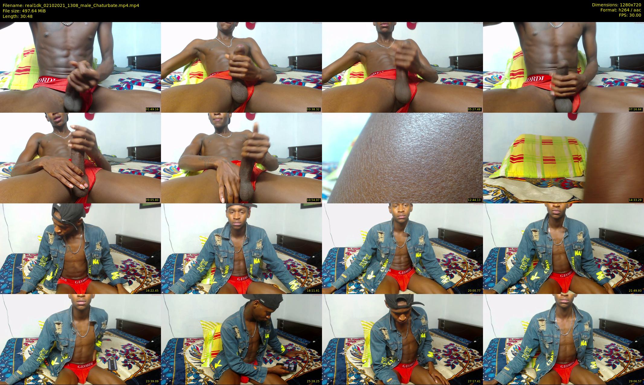real1dk — 31 minute Chaturbate male cam show recording, 720p, Oct 2, 2021