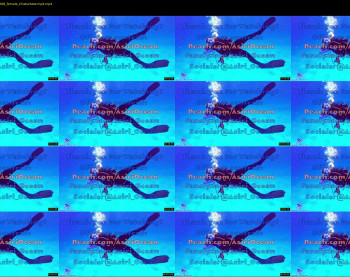 asiri_ocean — 8 minute Chaturbate female cam show recording, 1080p, Oct 8, 2021