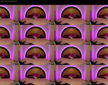melissabarbie — 12 minute Chaturbate couple cam show recording, 720p, Oct 8, 2021