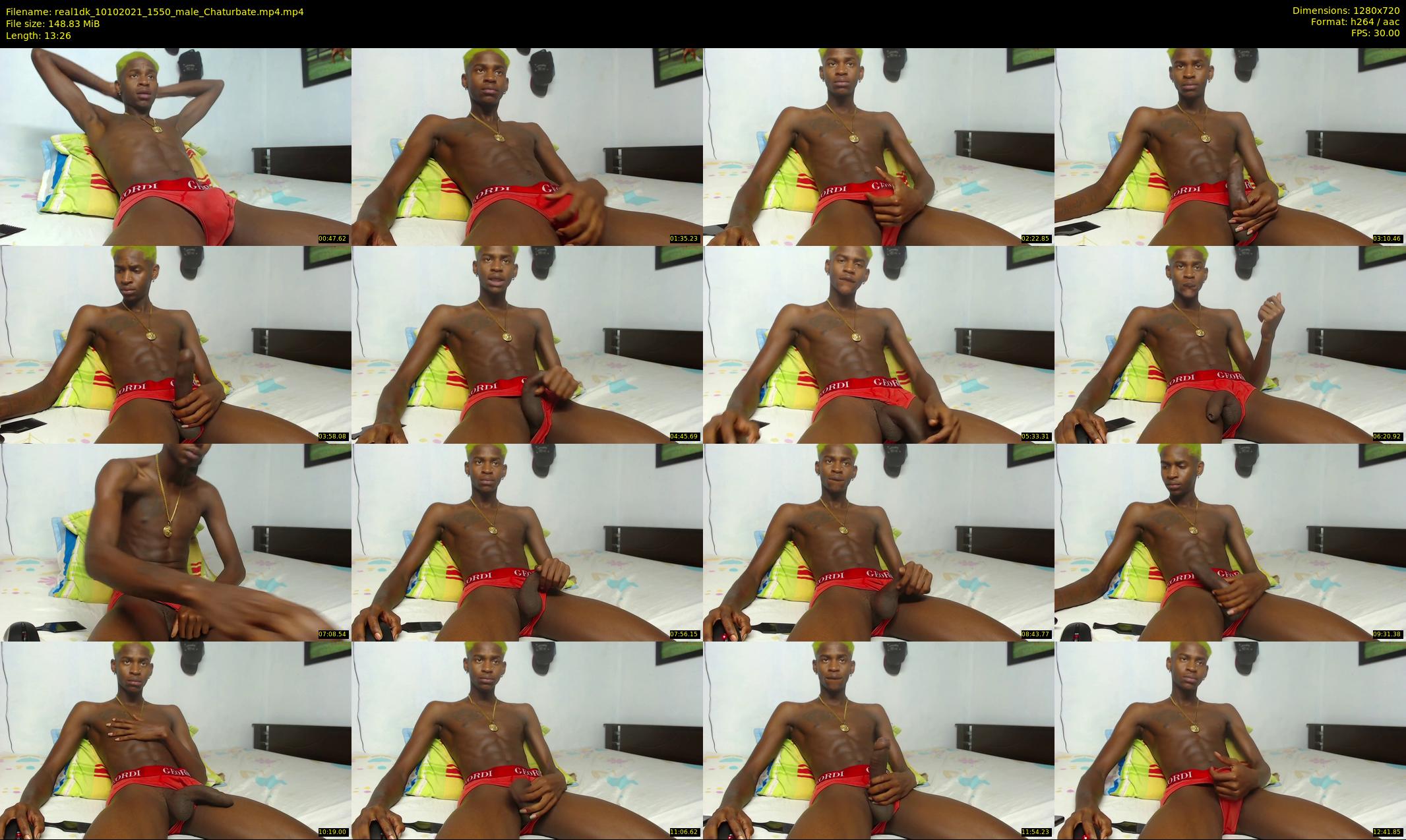 real1dk — 14 minute Chaturbate male cam show recording, 720p, Oct 10, 2021