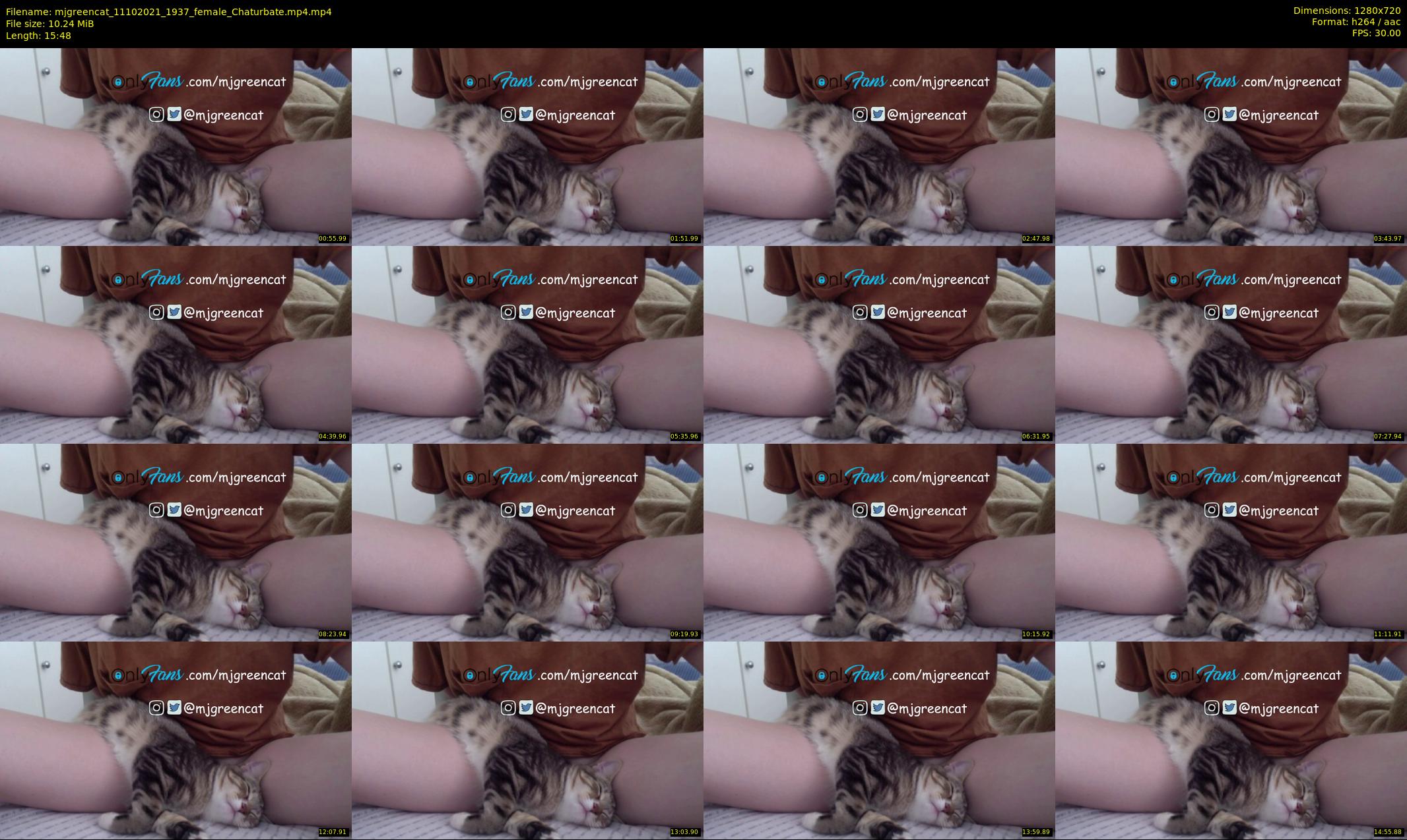mjgreencat — 16 minute Chaturbate female cam show recording, 720p, Oct 11, 2021