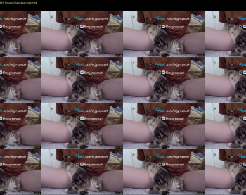 mjgreencat — 16 minute Chaturbate female cam show recording, 720p, Oct 11, 2021