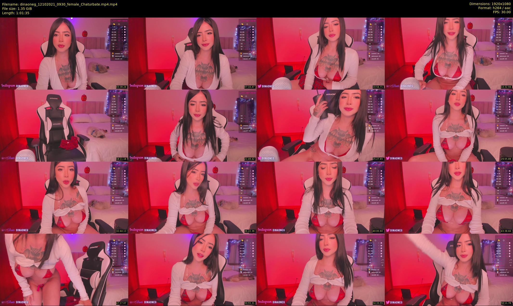 dinaoneg — 62 minute Chaturbate female cam show recording, 1080p, Oct 12, 2021