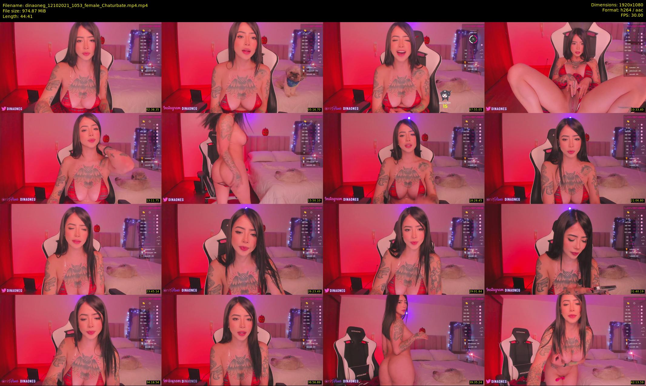 dinaoneg — 45 minute Chaturbate female cam show recording, 1080p, Oct 12, 2021