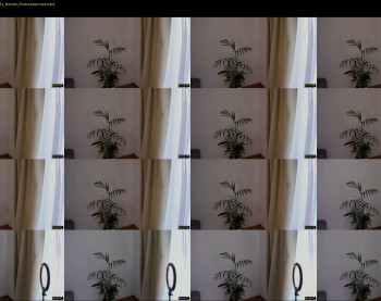 donnna19 — 12 minute Chaturbate female cam show recording, 1080p, Oct 14, 2021